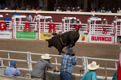 Calgary Stampede-2243